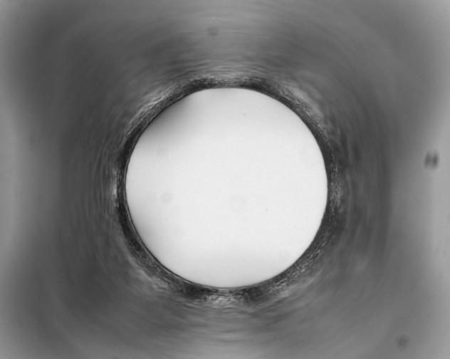 X0000098080115200805021031