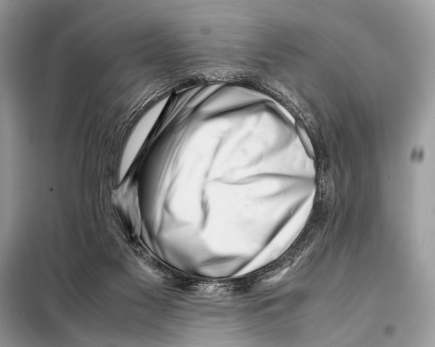 X0000098080117200805021031