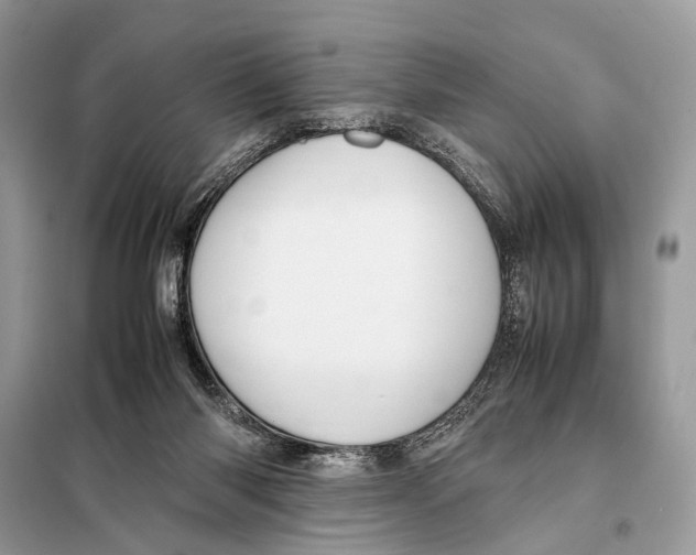 X0000098080118200805021031