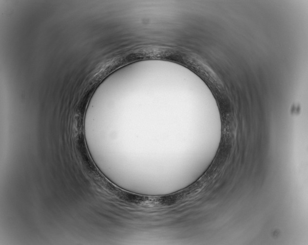 X0000098080119200805021031