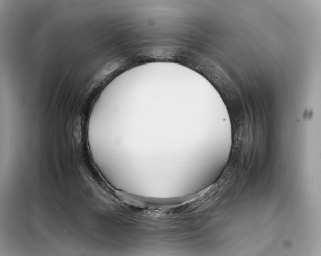 X0000098080120200805021031