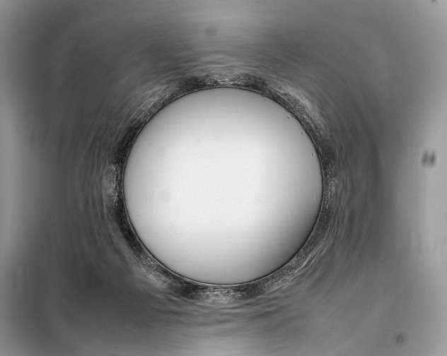 X0000098080121200805021031