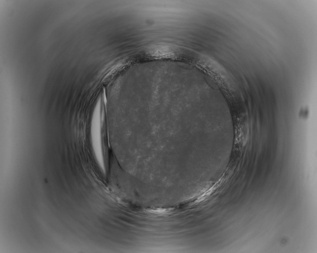 X0000098080124200805021031