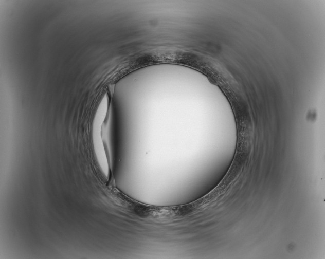 X0000098080125200805021031