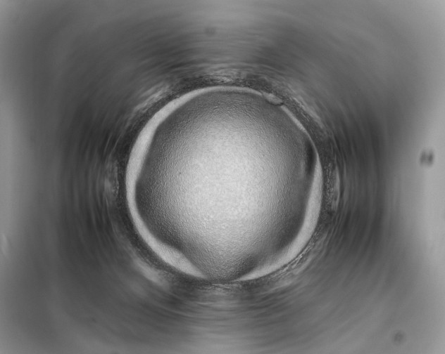 X0000098080128200805021031