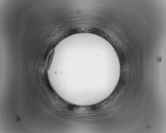 X0000098080129200805021031