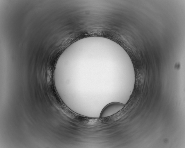X0000098080130200805021031