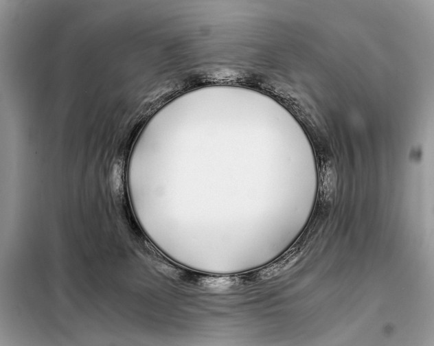 X0000098080131200805021031