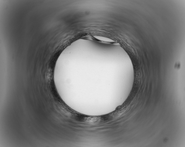X0000098080135200805021031