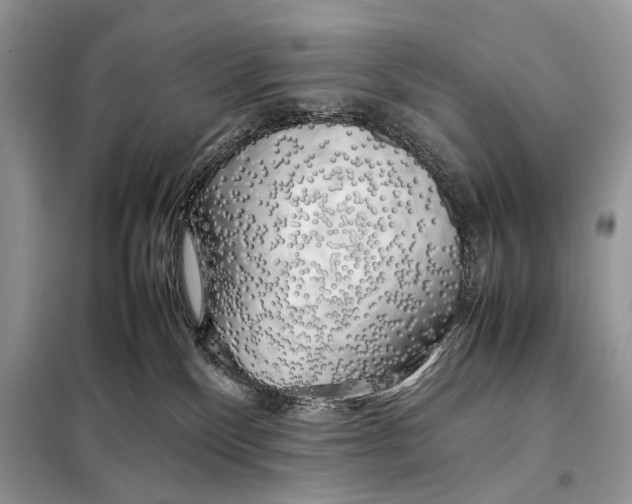 X0000098080136200805021031