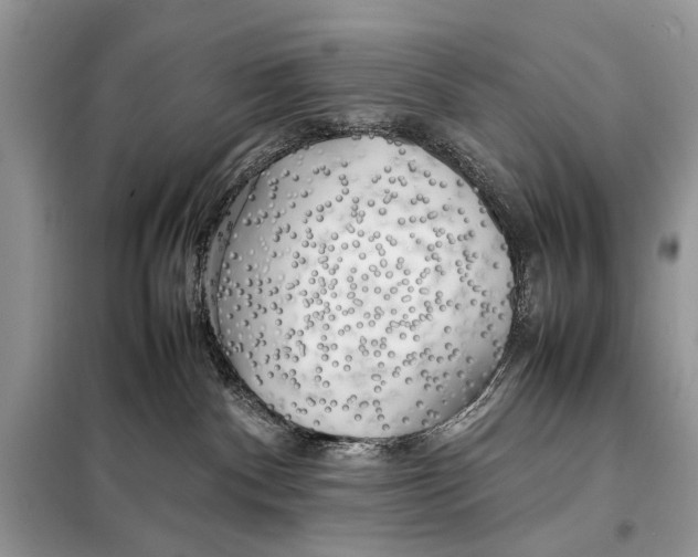 X0000098080140200805021030