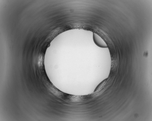 X0000098080142200805021030