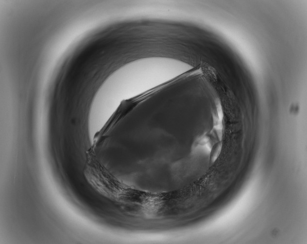 X0000098080143200805021030