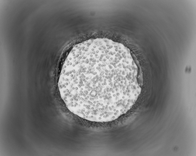 X0000098080144200805021030