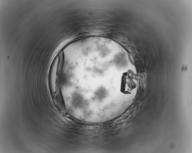 X0000098080147200805021029