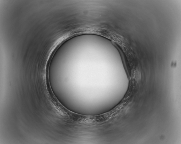 X0000098080148200805021029