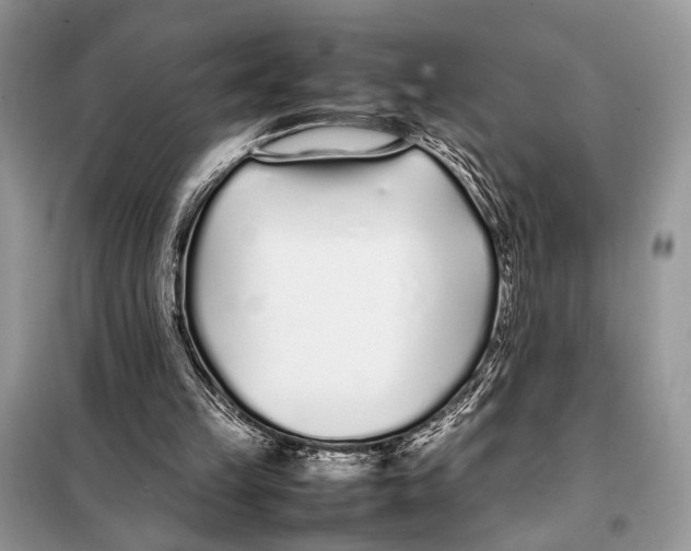 X0000098080149200805021029