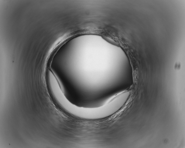 X0000098080150200805021029