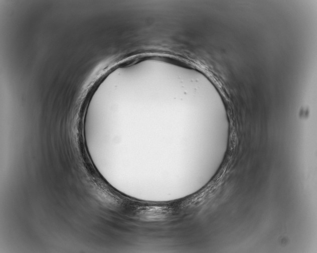 X0000098080151200805021029