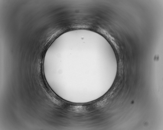 X0000098080153200805021030