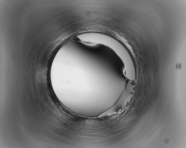X0000098080154200805021030