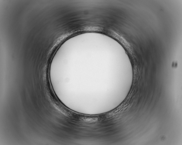 X0000098080155200805021030