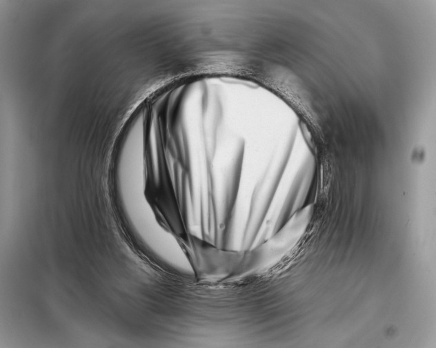 X0000098080156200805021030