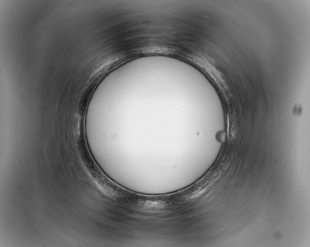 X0000098080157200805021030