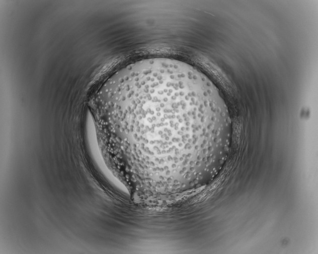 X0000098080158200805021030