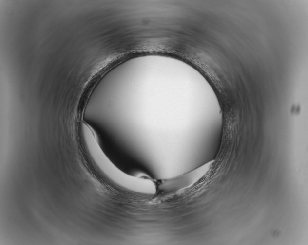 X0000098080160200805021030
