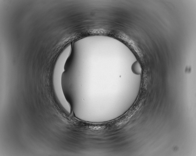 X0000098080161200805021030