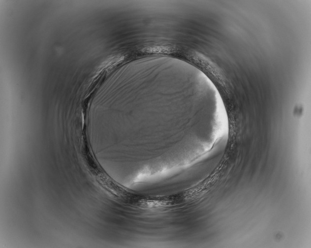 X0000098080163200805021030