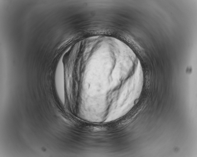 X0000098080165200805021030