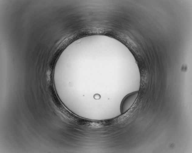 X0000098080166200805021030