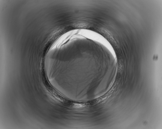 X0000098080167200805021030