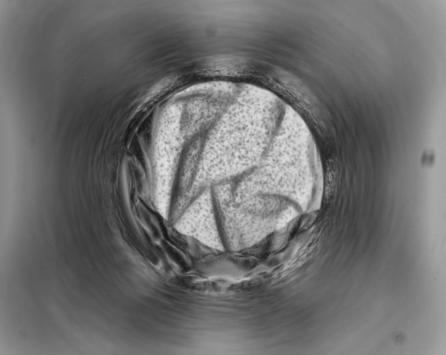X0000098080168200805021030