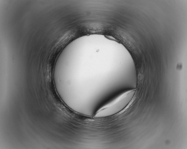 X0000098080170200805021030