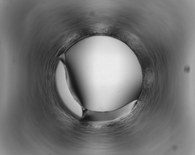 X0000098080172200805021030