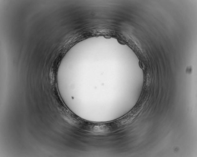 X0000098080173200805021030