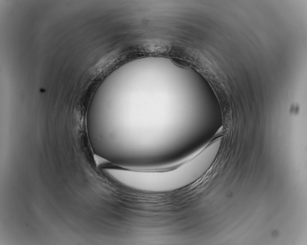 X0000098080176200805021030