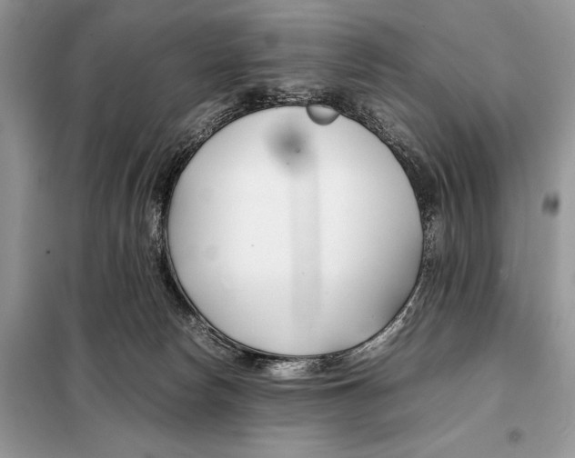 X0000098080178200805021030