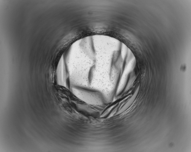 X0000098080180200805021030