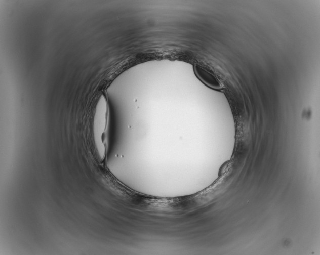 X0000098080182200805021030
