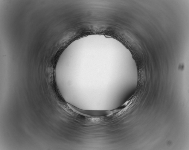 X0000098080184200805021030