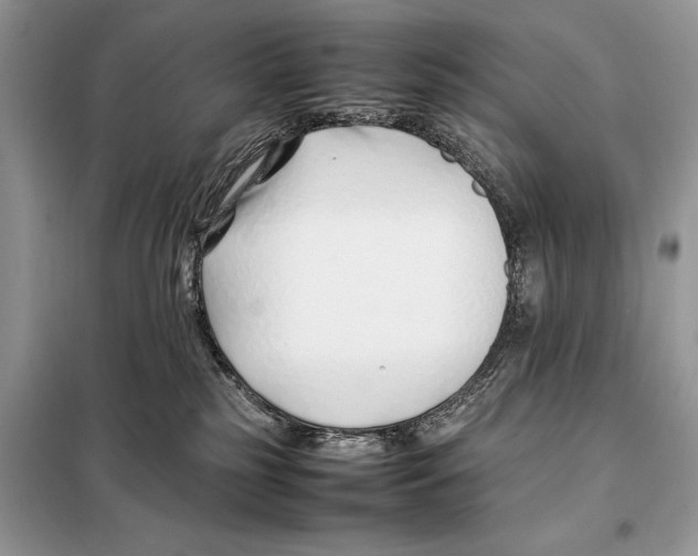 X0000098080185200805021030