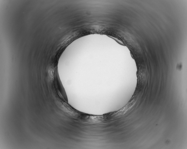 X0000098080188200805021030