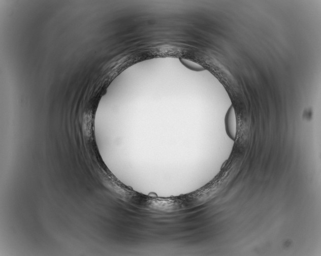X0000098080189200805021030