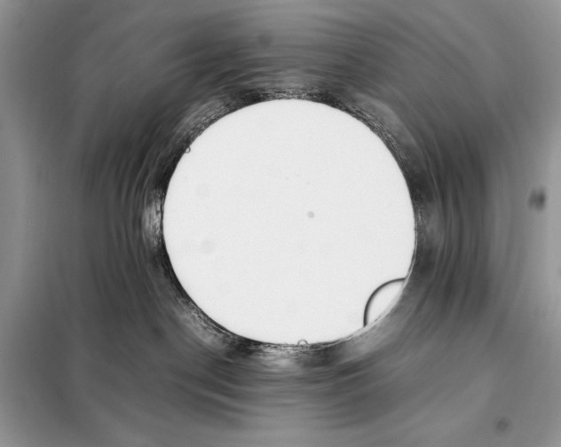 X0000098080190200805021030