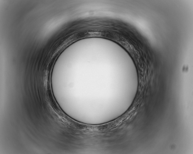 X0000098080194200805021029
