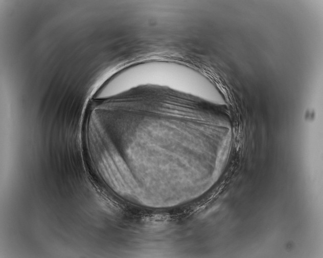 X0000098080196200805021029